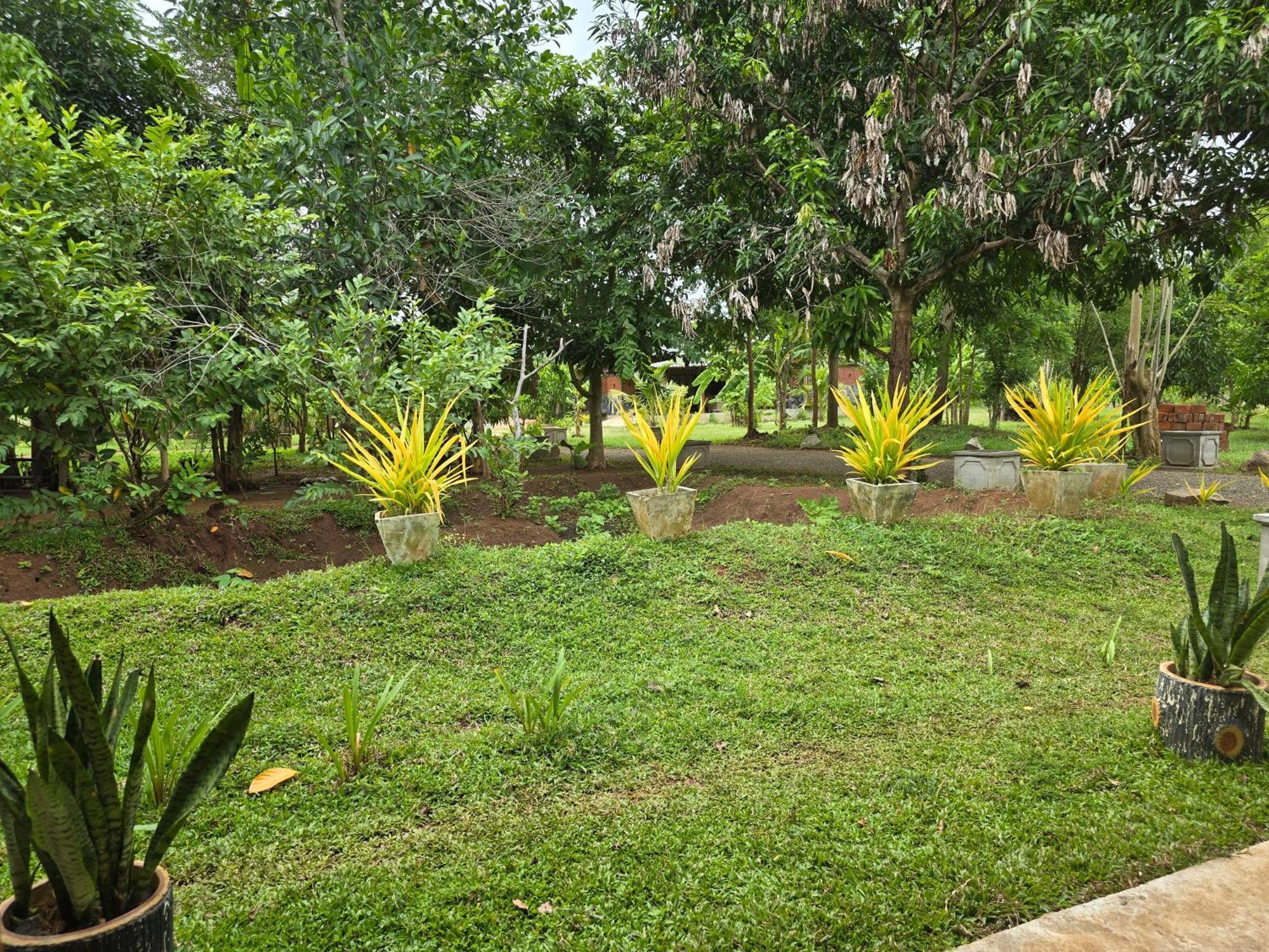 Ceylon Resort Wilpattu Esterno foto