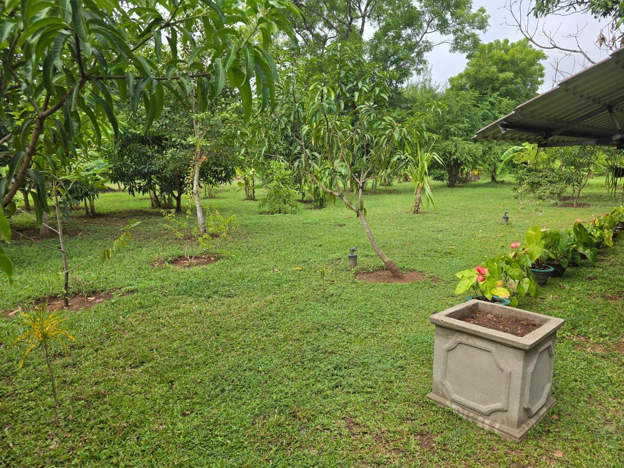 Ceylon Resort Wilpattu Esterno foto